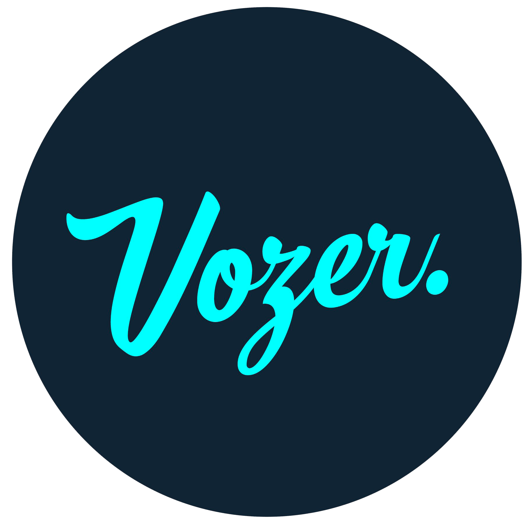 Logo Vozer