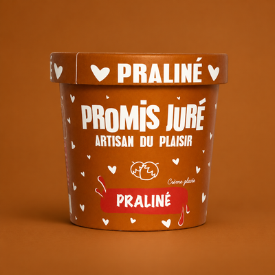 Crème glacée - Praliné - Pot 360ML