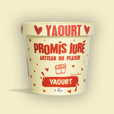 Crème glacée - Yaourt - Pot 360ML