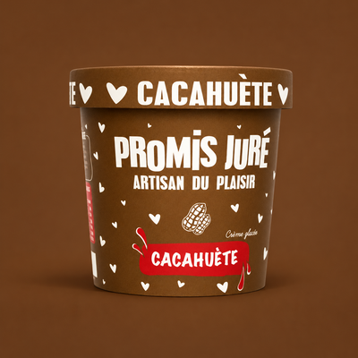 CRÈME GLACÉE - CACAHUÈTE -  POT 360ML