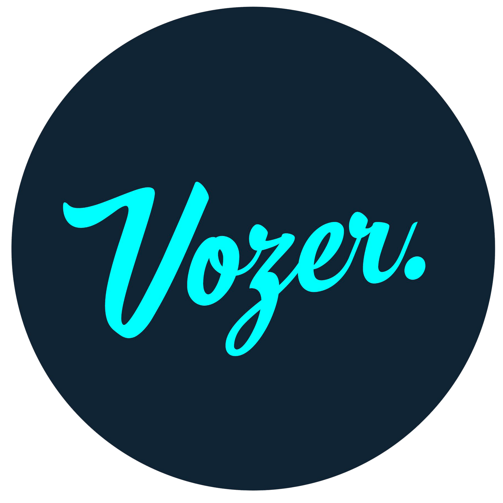 Logo Vozer
